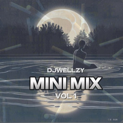 Wellzy MINI MIX VOL 1