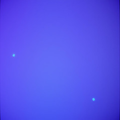 Ghost in My Feed