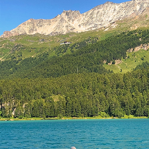 A White Hat and the Colors of the World [DEMO MIX 11:9:25]