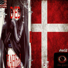 REDJINA 2026 DANMARK FLOW