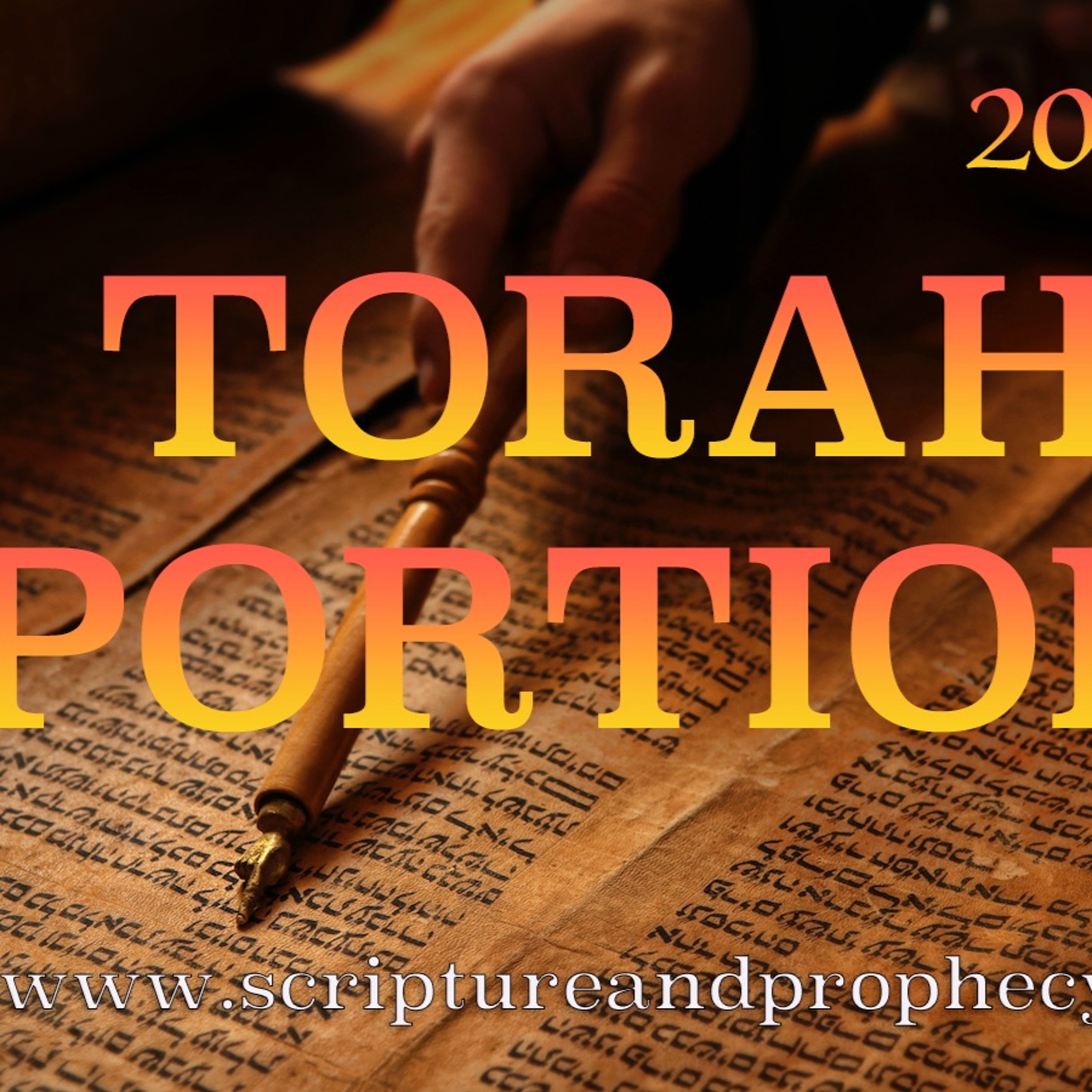 Torah Portion – Terumah: Exodus 25–27:19 -  Contributions for the Sanctuary