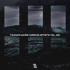 [TZNMVA001] Tzunami Waves Various Artists VOL.1.