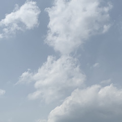 ich kanns dir echt nicht sagen feat. younglaaazzyy