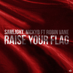 Raise Your Flag (feat. Robin Vane)