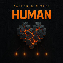 Rag'n'Bone Man - Human (ZALEØN & NIVVEK Edit) [Supp by Solomun]
