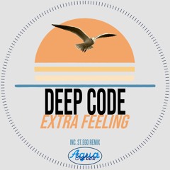 PREMIERE: Deep Code - Extra Feeling [Agua Salada Records]