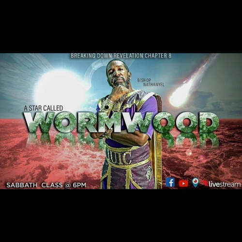 Bishop Nathanyel - Revelation 8 (A Star Called Wormwood)