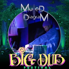 Muted Diagram - BIG DUB 2022 Live Set at Hemlock Hole