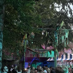 Down the groove