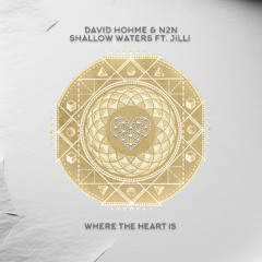 WTHI118 - David Hohme & N2N - Shallow Waters ft. JiLLi (Original Mix)