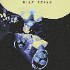 WILD THING - Dark Place