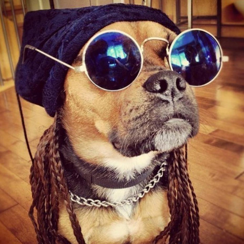 SWAGSTROKE + хулагу 3g | тгк: svntsvn77 #SHWURG #NERD-C