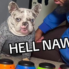 HELLNAW FNF hellNaw dog Song