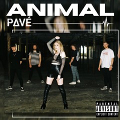 PAVÉ - ANIMAL (Acoustic version)