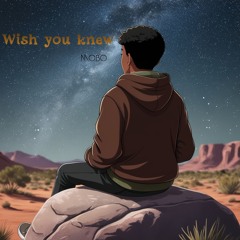 Wish You Knew