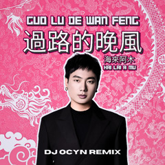 Hai Lai A Mu 海來阿木 - Guo Lu De Wan Feng 過路的晚風 (DJ Ocyn Remix)