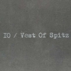 IO vest of split