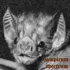 Criaturas Brillantes De La Noche - Vampirum Spectrum