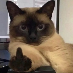 >:)