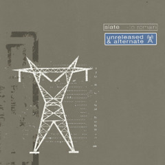 slate - steady harm(ver2)