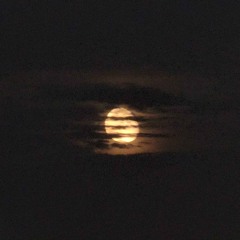 Full Moon