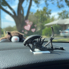 xeno’s birthday party