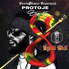 PROTOJE_BIG 45 (HYD10 CHILL) 2025_033305.mp3
