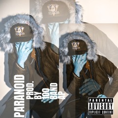 Paranoid Prod. By 100 Band AP