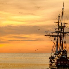 Wellerman (Sea Shanty) Psytrance Remix ~ Paul Hadi