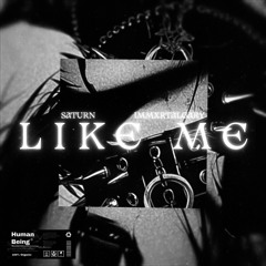 Like Me (Prod. Fantom)