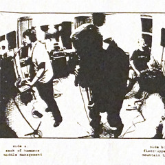 the birds are spies, they report to the trees - sack of hammers