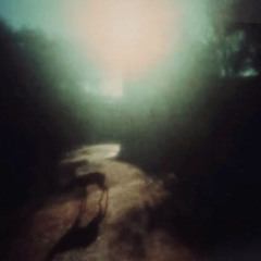 ты еще жива @1nw