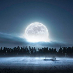 Paradossal Moon