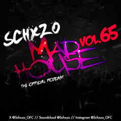 Madhouse Podcast Vol. 65 | House, Tech House, Minimal Selects (November 2025 New House Mix)