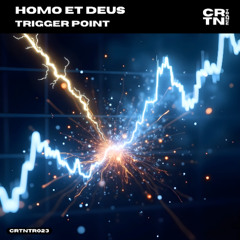 Trigger Point (Original Mix)