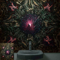 Bathroom()~()ExP