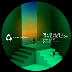 PREMIERE: Never Alone In A Dark Room - Pichkka (Kubrick Remix )