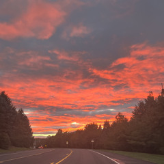 Entertaining Illusions- Syncere