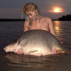 svetofor / 2hollis type beat