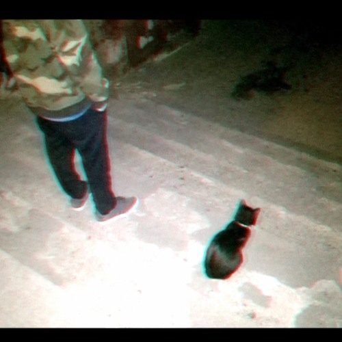 MŁODY_OSA - enterthevoid