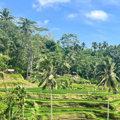 KEINMUSIK Inspired set