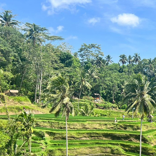 KEINMUSIK Inspired set