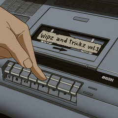 WIPS//AND//TRICKZ - // VOL.1 // ㊙️ ㊙️ ㊙️
