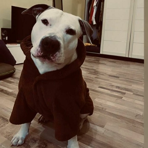 28 Строчек - KRBK -x- rmx @a.antonov. 2023