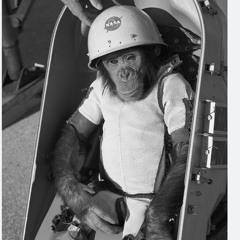 Monkey Space Radio Homage