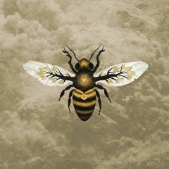 Bee Hive