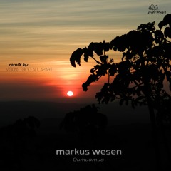 PREMIERE: Markus Wesen - Oumuamua (Visions They Fall Apart Remix) [Wald-Musik]