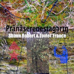Shaun Robert & Zoviet*France - Prãnãserenestaɡərɪŋ