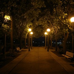 Alone was night