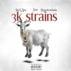 3k Strains (feat.BigEDonDaDa)